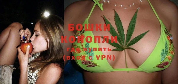 сатива Балахна