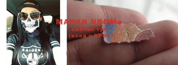 сатива Балахна
