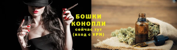 сатива Балахна