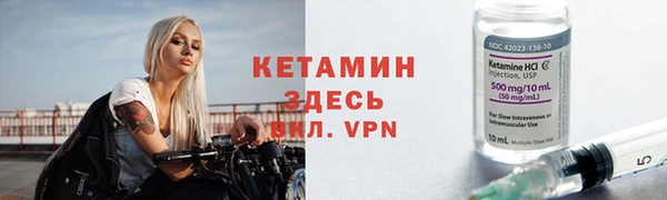 сатива Балахна