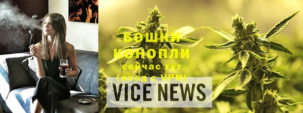 сатива Балахна