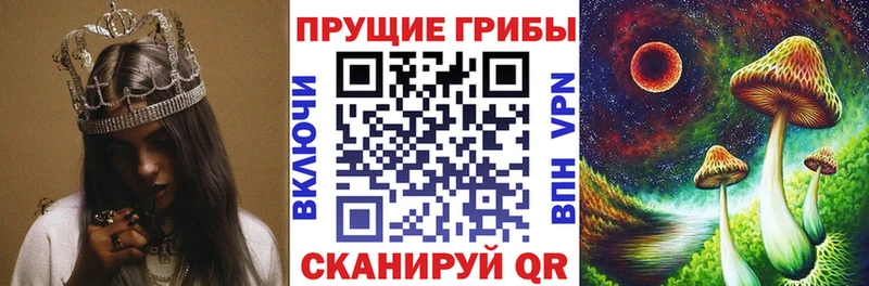 Купить закладки  Волгоград  Галлюциногенные грибы мухоморы 